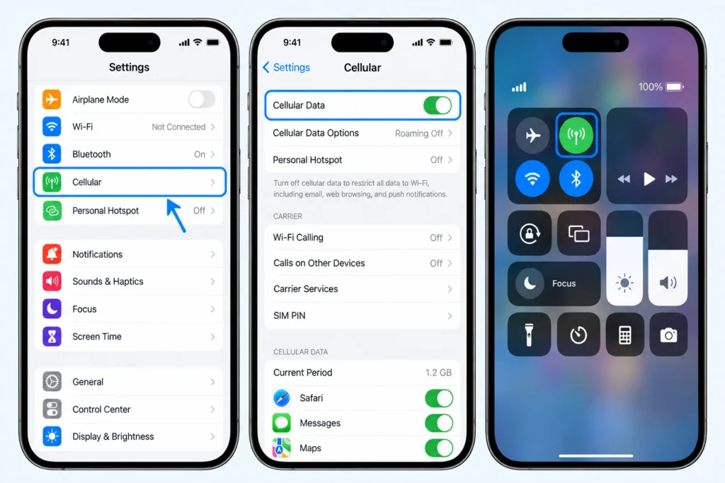 Make Sure Cellular Data Is Turned On